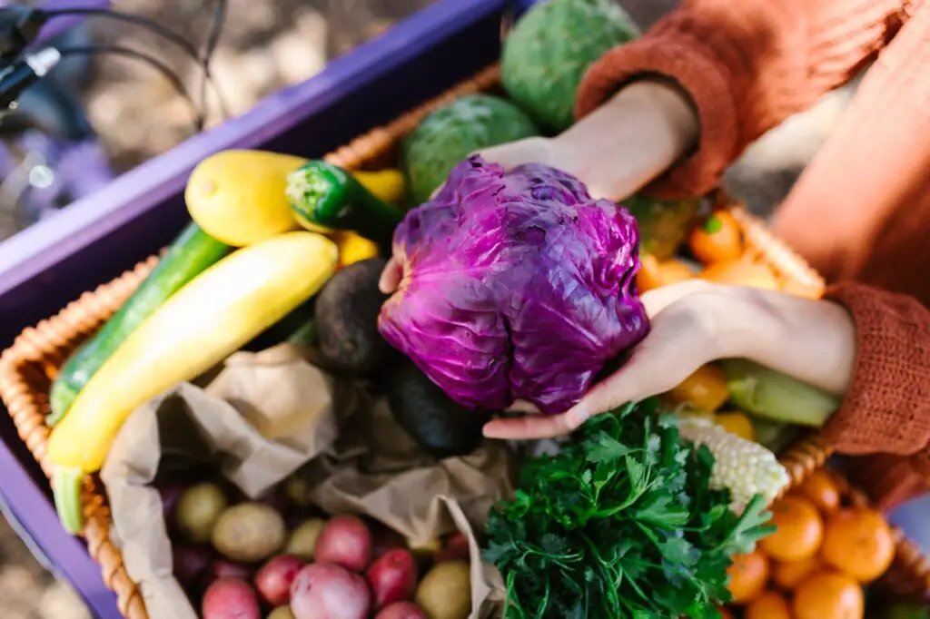 <p> Supporting your local food system doesn’t require a massive lifestyle overhaul—just a shift in awareness and a willingness to make small, meaningful changes. Each choice you make, from where you shop and what you cook to how you handle food waste and who you support, contributes to a stronger, healthier, more resilient food network in your community. These choices are powerful. They help sustain farmers, protect the environment, and reconnect us with the food we eat. Start with one or two of the ideas above, and build from there. Over time, you’ll not only enjoy fresher, tastier meals—you’ll also be part of something bigger. So next time you sit down to eat, remember: your fork is a tool for change. Use it wisely. </p> :: Pexels