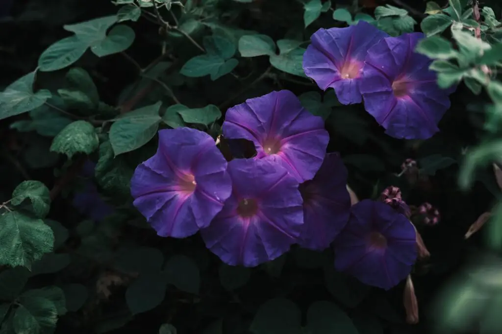 <p> A thriving vegetable garden doesn’t happen by accident—it takes planning, care, and the right companions in the soil. But while most gardeners focus on what to grow, knowing what not to plant is just as important. Some plants that look harmless or even helpful can actually cause chaos in your garden beds. Whether it's through aggressive root systems, toxic chemicals, or greedy nutrient consumption, these plants can stunt your crops, attract pests, and choke out your harvest before it begins. In this guide, we’re revealing 10 plants that will sabotage your vegetable garden if you let them—and why you should keep them far from your prized tomatoes, cucumbers, and greens. Get ready to make smarter planting decisions and protect your veggies from silent saboteurs hiding in plain sight. </p> :: Pexels
