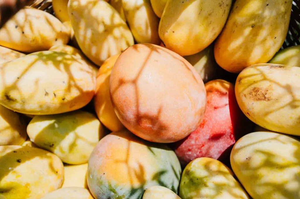 <p> Craving a tropical escape? A mango might seem like the perfect choice, but it’s also one of the highest-sugar fruits you can eat. A single cup of mango chunks packs in roughly 23 grams of sugar, which can lead to a quick spike in blood sugar. While mangoes are full of vitamins A and C, they should be treated more like a dessert than a snack. To keep your portions in check, try mixing a few mango cubes into a Greek yogurt parfait or a fiber-rich fruit salad with berries and seeds. </p> :: Pexels