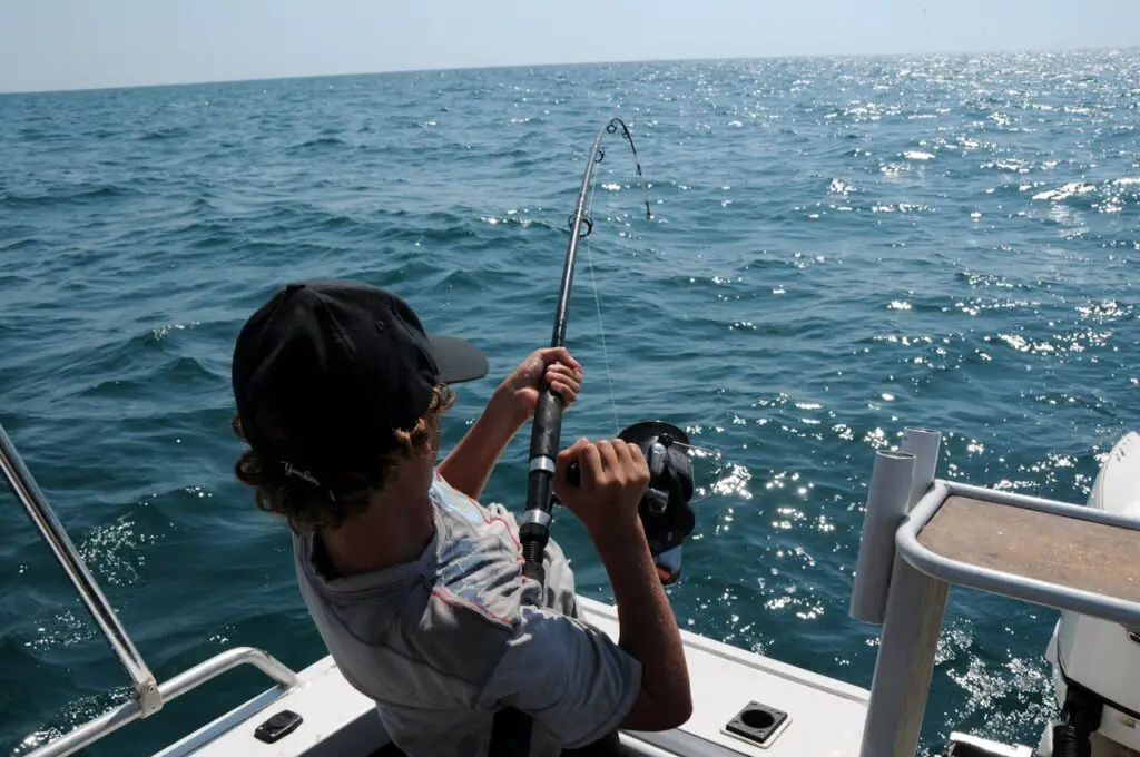 <p> Certain fishing techniques, such as drift nets or bottom trawling, are allowed in some regions but cause significant harm to marine life and endangered species. While legal under specific regulations, these methods damage fragile ecosystems and reduce biodiversity, threatening the health of our oceans. The legality of these practices clashes with the ethical responsibility to protect our planet’s natural resources for future generations. It prompts a vital question: should economic gain come at the cost of environmental destruction? </p> :: Pexels