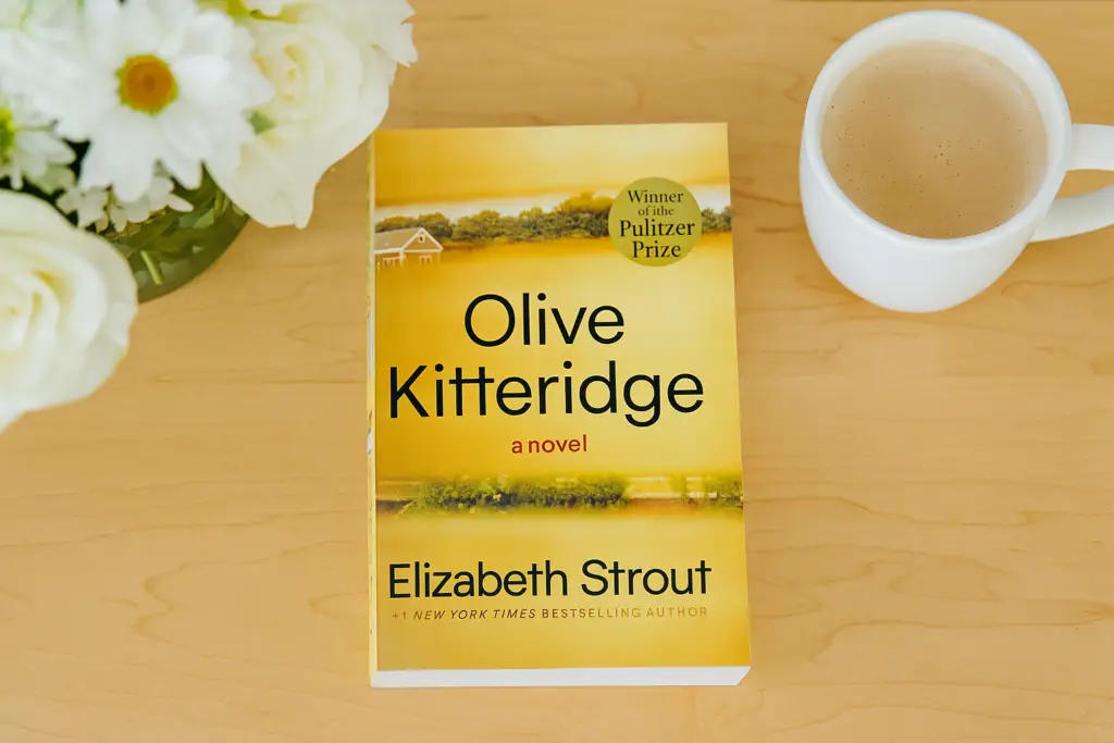 <p> In this Pulitzer Prize-winning novel, Olive—a retired schoolteacher living in a small coastal Maine town—is as complex and prickly as they come. The interconnected stories about her life and the people around her explore aging, loss, and love in all its forms. Strout’s storytelling is rich and nuanced, making this an ideal book for thoughtful conversations. It’s a slow burn with a deep emotional payoff—just like life itself. </p> :: DALL-E