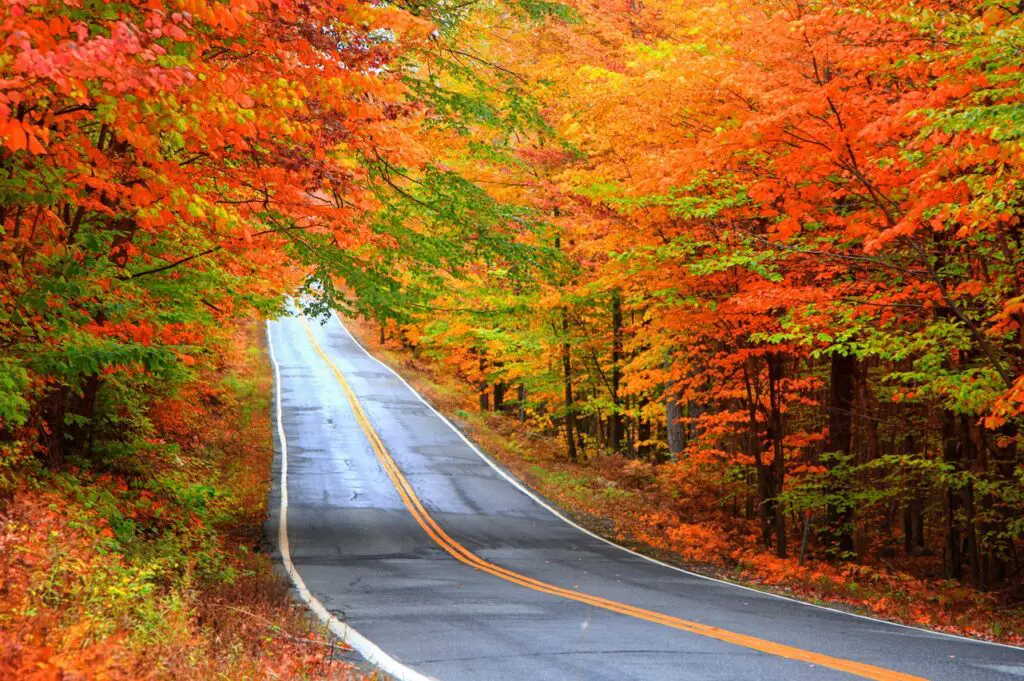 <p> When autumn rolls around, there’s no better place to be than Vermont’s Route 100. This scenic north-south route winds through some of New England’s most charming small towns, including Stowe, Weston, and Woodstock. Covered bridges, maple syrup farms, and rolling hills ablaze with fall colors make this a dream trip for boomers who love the cozy charm of a classic American autumn. The route is manageable in a weekend and filled with delightful spots to explore, from antique shops to country inns where you can enjoy a warm cup of cider by the fire. </p> :: GyPSy Guide