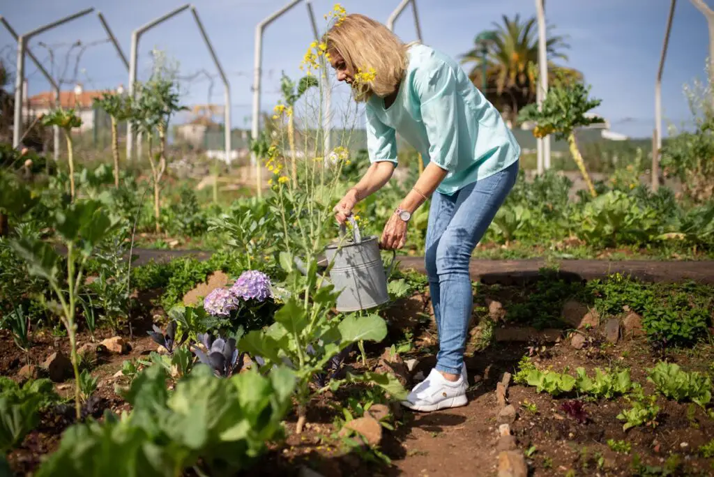 <p> Think of gardening as a grown-up version of making mud pies—with flowers, vegetables, and way fewer messes. Whether you're planting a backyard vegetable garden or nurturing herbs in pots on your patio, gardening connects you to nature and your senses. The act of digging, watering, and watching something grow is both grounding and rewarding. Plus, studies show gardening reduces stress, lowers blood pressure, and lifts mood. So go ahead—get a little dirt under your nails and marvel at your green thumb. </p> :: Pexels