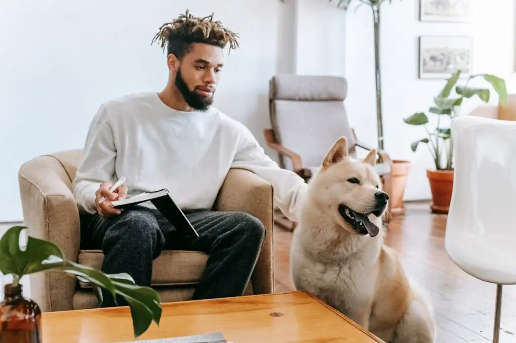 <p> A barking dog is natural—but constant barking is a top complaint in many apartment buildings. Whether your furry friend gets anxious when you’re away or just loves to make announcements, the noise can quickly wear thin for neighbors who work from home, have grandchildren visiting, or simply value peace and quiet. What to do instead: Train your pet to reduce barking, leave toys to keep them occupied, or consider a dog-walker if you're gone for long periods. If all else fails, talk to your vet or a trainer. A quieter pet is better for everyone—especially you. </p> :: Pexels