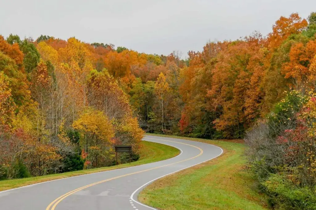 <p> For a truly tranquil drive, it’s hard to beat the Natchez Trace Parkway. This 444-mile route traces an ancient Native American trail through Mississippi, Alabama, and Tennessee. With no billboards, minimal traffic, and a strict ban on commercial trucks, it feels like driving through a living museum. History buffs will appreciate the Civil War landmarks and Native American mounds, while nature lovers will enjoy the wildflowers and quiet trails. Highlights include the historic town of Natchez and the lively music scene in Nashville. It’s peaceful, educational, and endlessly scenic. </p> :: Lawrenceburg Tourism
