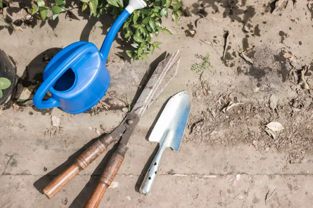 <p> It is tempting to set down tools “just for a minute,” but rakes, trimmers, and even empty bags left on the lawn can block sunlight and crush grass, leaving brown patches. Finish strong by gathering up all your tools and putting them away right after mowing. Your lawn stays healthy and your yard stays neat, which makes every future mowing session feel like less of a hassle. </p> :: Freepik