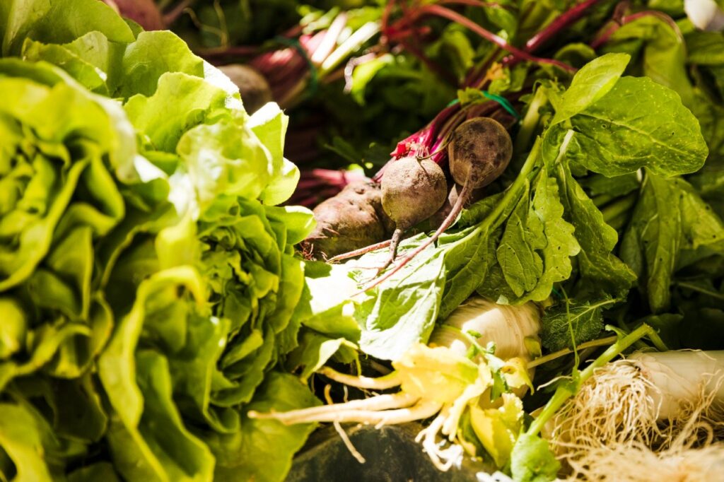 <p> If you’ve been longing for a garden that gives more and demands less, perennial vegetables are the way to go. These eight resilient crops offer delicious rewards year after year with minimal care—perfect for busy gardeners, backyard homesteaders, or anyone who just wants to spend more time harvesting than hoeing. Perennial veggies aren’t just a time-saver—they’re a smarter, more sustainable way to grow. You plant them once, nurture them just a bit, and then reap the rewards season after season. Whether it’s the sharp bite of horseradish, the sweet earthiness of sunchokes, or the tangy brightness of sorrel, these plants deliver variety, nutrition, and garden joy on autopilot. So grab a shovel, pick your favorites from the list, and start creating your very own “forever” garden. Your future self—and your dinner plate—will thank you. </p> :: Freepik