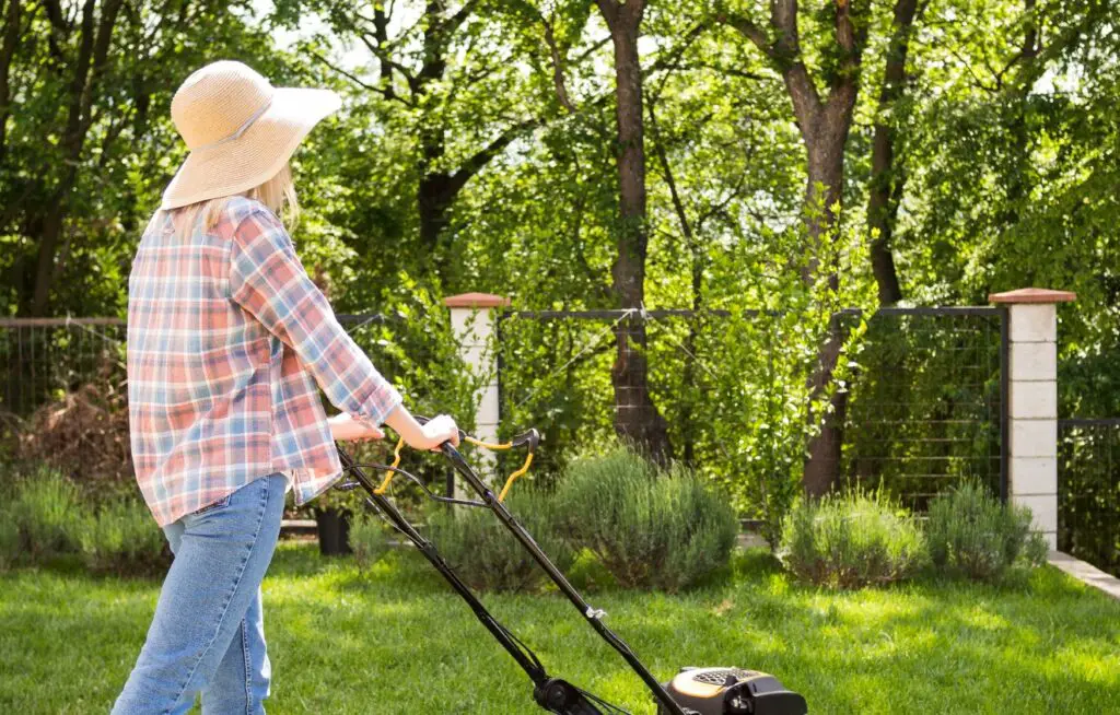 <p> Fertilizing right after mowing might sound efficient, but freshly cut grass blades are more prone to burn from potent fertilizers. Give your lawn a couple of days to heal before applying any fertilizers, especially synthetic ones. This small delay helps avoid unsightly brown tips and ensures your lawn can absorb those nutrients properly for strong, healthy growth. </p> :: Freepik