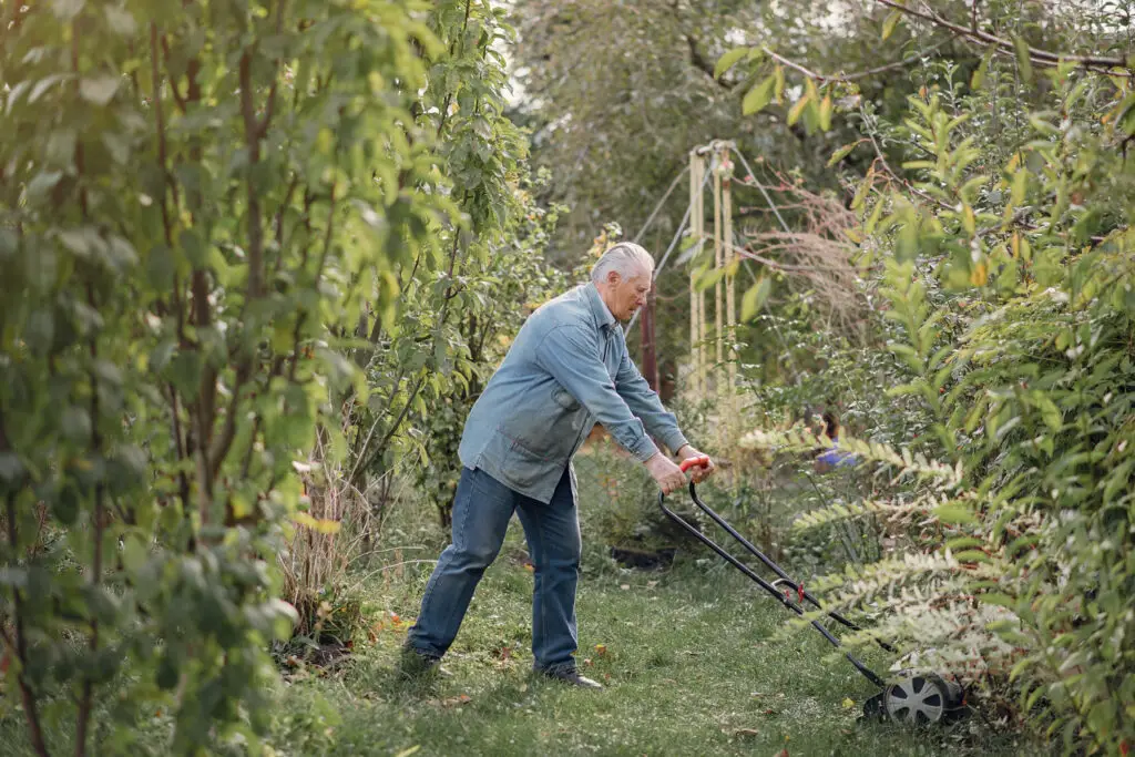<p> Boomers, your lawns are more than just grass—they are the backdrop for family memories, peaceful afternoons, and neighborhood pride. You have invested countless hours making sure your yard looks its best. The key is remembering that mowing is only part of the job. Avoiding these post-mowing mistakes is how you protect your hard work and ensure your lawn stays healthy, vibrant, and ready for everything from grandkid games to evening strolls. So the next time you finish mowing, pause for a moment, admire your handiwork—and skip these pitfalls. Your grass will stay lush and green, and you will enjoy a yard that truly makes you smile. Happy mowing—and happy growing! </p> :: Freepik