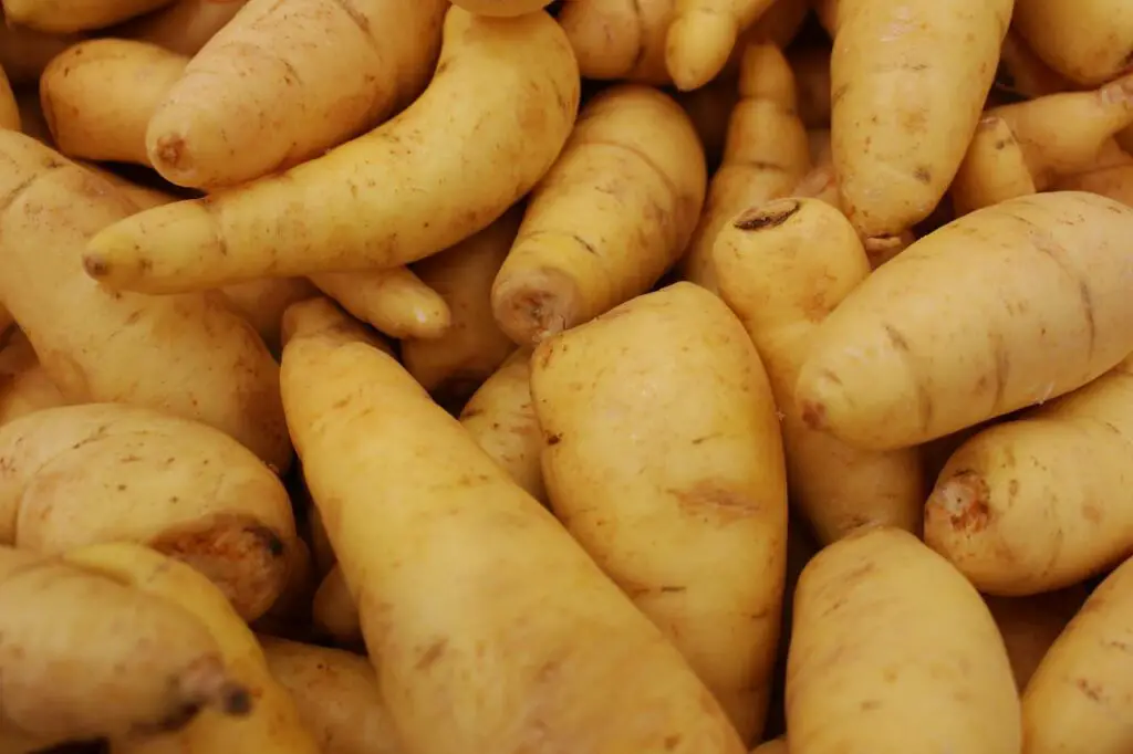 <p> Sweet potatoes bring vibrant color and natural sweetness to your plate, and they’re also great for your heart. Packed with soluble fiber, antioxidants, potassium, and vitamin A, sweet potatoes help lower LDL cholesterol while offering anti-inflammatory benefits. Bake them whole and enjoy with a sprinkle of cinnamon, mash them as a nutritious alternative to regular mashed potatoes, or spiralize and roast them into sweet potato fries for a fun, healthy twist. </p> :: Pexels