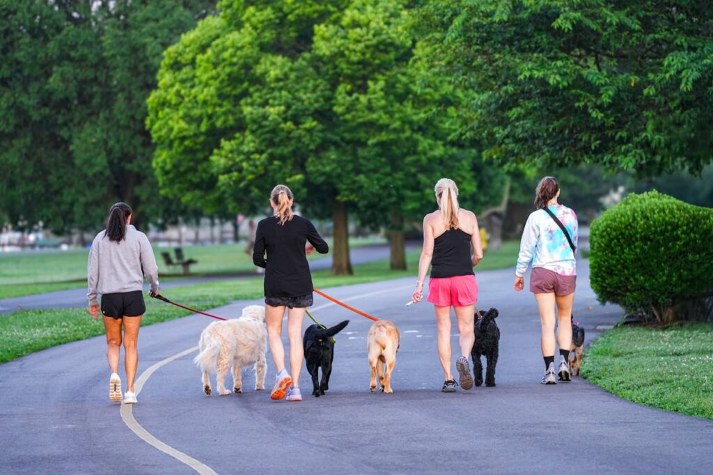 5. Switch Locations to Break the Monotony <p> A change of scenery can do wonders for your mindset. If you always work from the same spot or eat lunch at the same table, try switching it up. Move to a different room, take your laptop outside, or meet a friend at a park. Changing your physical environment helps stimulate your brain, sparks new ideas, and keeps you from feeling trapped in the same patterns every day. </p> :: Pexels