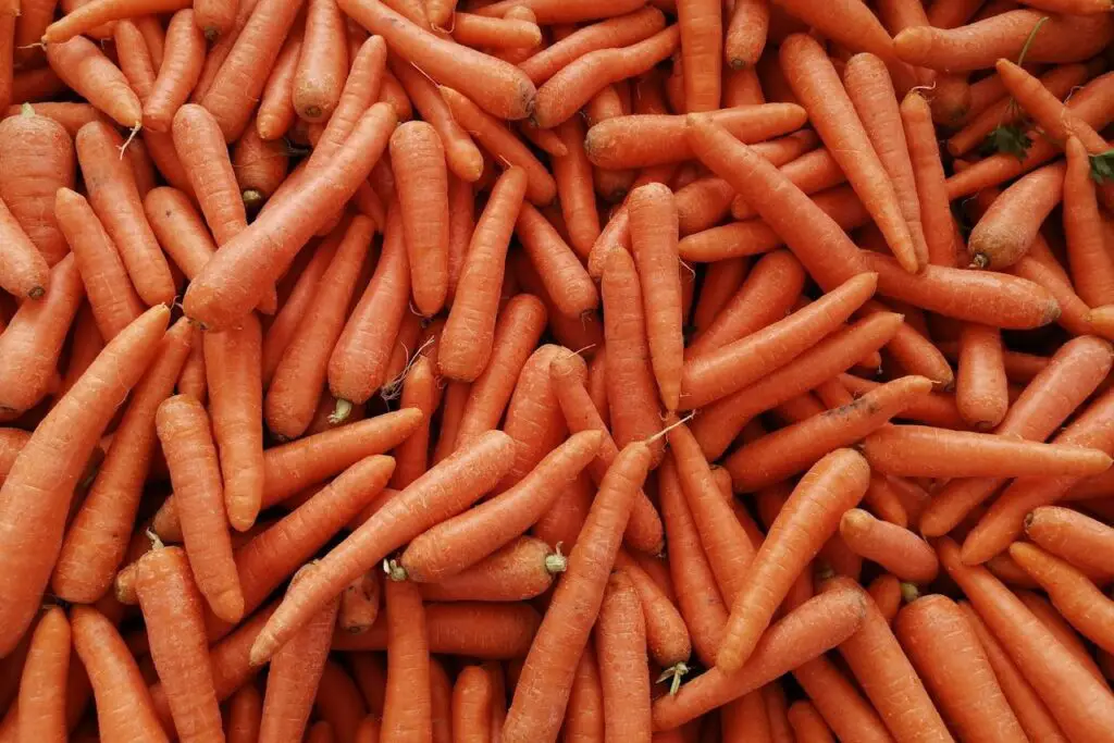 <p> Carrots are so much more than rabbit food. Besides being rich in beta-carotene, which is fantastic for eye health, carrots contain soluble fiber that helps lower cholesterol by binding with bile acids and removing them from the body. Enjoy them raw as a crunchy snack, grate them into a turkey burger mix for added moisture and nutrients, or roast them with a drizzle of honey and thyme for a sweet, savory side dish that’s as good for your heart as it is for your taste buds. </p> :: Pexels