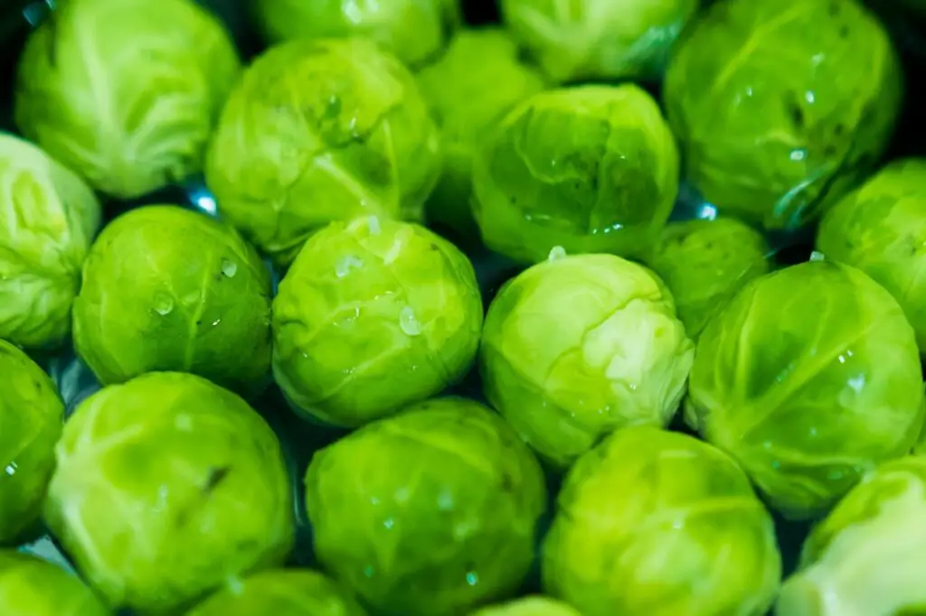 <p> Tiny but mighty, Brussels sprouts are like the underdogs of the vegetable world—and they deliver big for your heart. They are packed with soluble fiber and contain antioxidants like kaempferol that help protect your blood vessels and reduce cholesterol buildup. Their anti-inflammatory properties are especially beneficial for keeping your arteries clear and your blood flowing smoothly. Roasted with olive oil and a sprinkle of sea salt, they are surprisingly addictive and deliciously good for your cardiovascular system. </p> :: Pexels