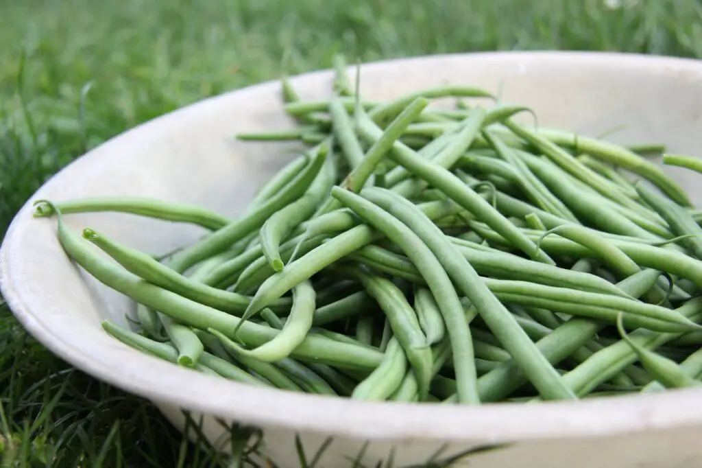 <p> Simple and unassuming, green beans are a comfort food that also happen to be great for your cardiovascular health. They are low in calories but high in fiber, folate, and antioxidants that work together to lower inflammation and regulate cholesterol levels. Green beans also provide potassium, which helps control blood pressure and reduce strain on your heart. Sauté them with garlic, steam them, or add them to casseroles for a familiar veggie with powerful benefits. </p> :: Pexels