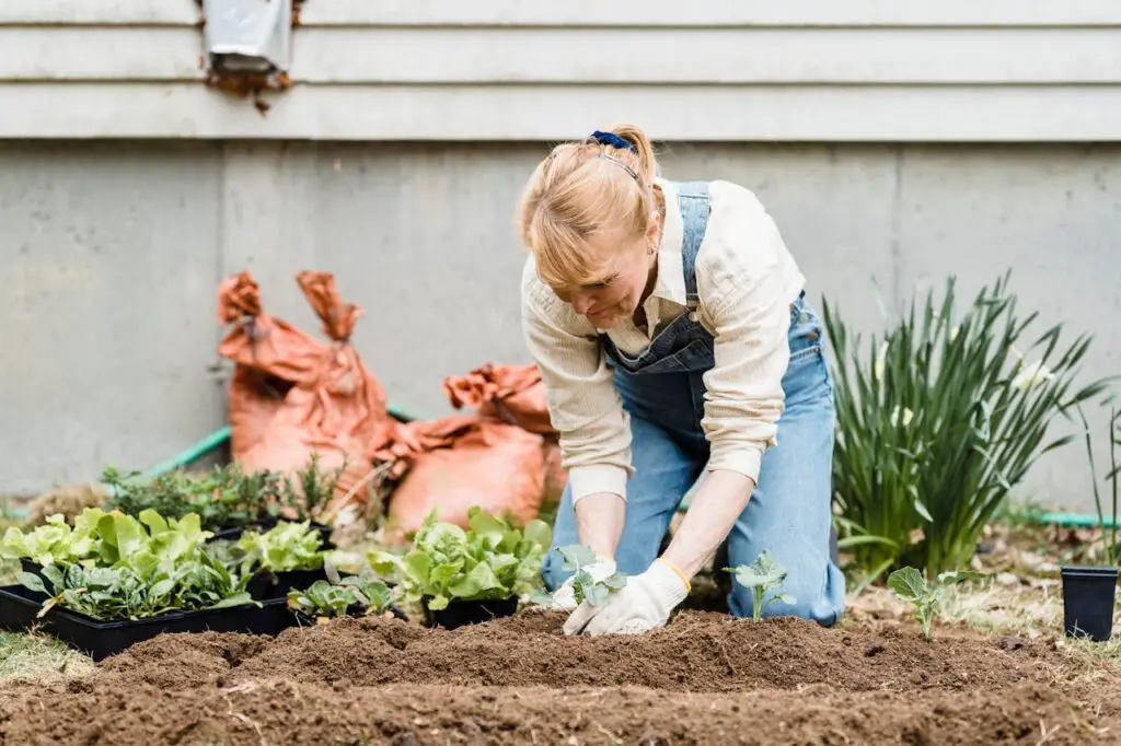 <p> There’s something deeply satisfying about a well-tended yard or garden, but all-day yard work marathons can be risky business. Hours of bending, digging, and hauling heavy bags of mulch can lead to sore muscles, back injuries, or dehydration, especially during the summer. Instead of marathon sessions, break tasks into shorter stints with plenty of water and stretching breaks. Or consider hiring local help for the heavier jobs. You can still enjoy your garden without feeling like you’ve run a triathlon. </p> :: Pexels