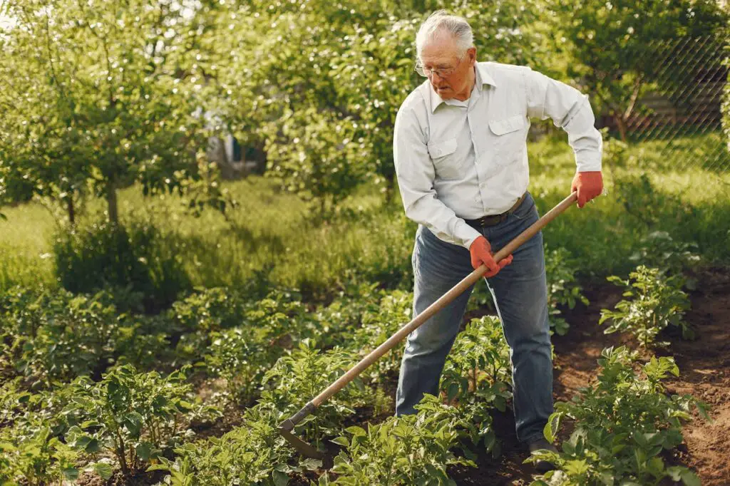 <p> Whether you have a sprawling backyard or a few pots on a patio, gardening is a hobby that keeps giving back. Baby boomers are getting their hands dirty again—planting vegetables, herbs, and flowers not just for the beauty, but for the joy and satisfaction of nurturing life. Gardening connects you to the seasons, promotes physical activity, and even supports mental wellness. Many boomers are expanding into homesteading hobbies like composting, canning, and preserving homegrown food. It is about self-sufficiency, mindfulness, and creating something that is both beautiful and useful. </p> :: Pexels