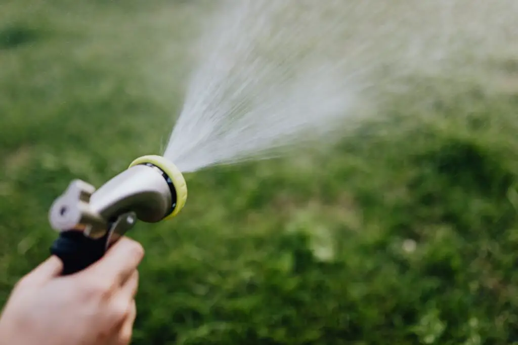<p> It may feel like you are giving your lawn a refreshing drink after a trim, but watering right after mowing can actually harm the grass. Freshly cut blades are vulnerable, and adding moisture can encourage fungal diseases, especially on hot days. Instead, mow early in the morning or later in the evening, then water deeply on a different day. Your lawn will reward you with healthier growth and fewer brown patches. </p> :: Pexels