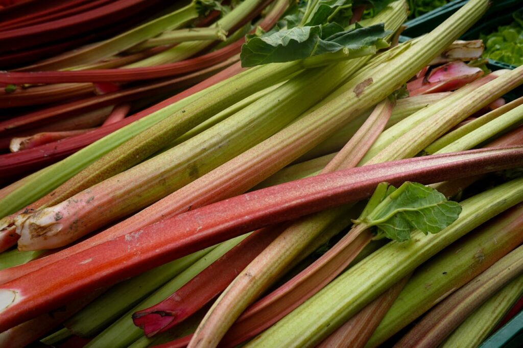 <p> Rhubarb is a garden classic, beloved for its tart red stalks that bring zing to pies, jams, and even savory sauces. Hardy in zones 3 through 9, rhubarb is one of the easiest perennials to grow. Once it’s established, it will return every spring with thick, vibrant stalks ready to harvest. Just remember: only the stalks are edible—the leaves are toxic and should be discarded. Rhubarb also adds an eye-catching burst of color to any garden bed. </p> :: Pexels
