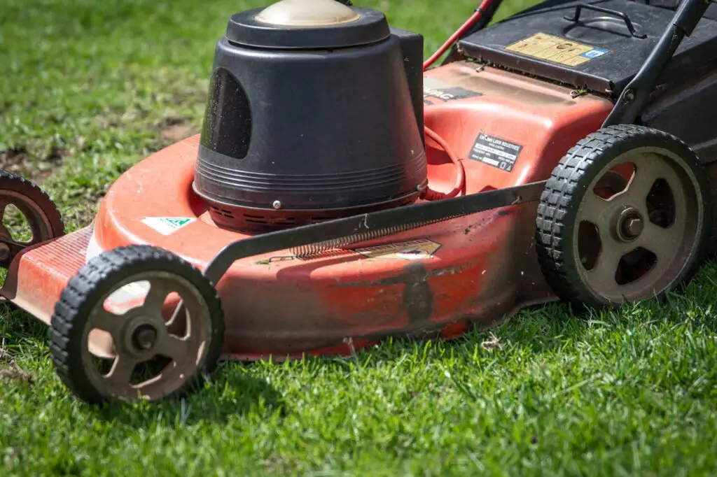 <p> It is easy to shove the mower back into the garage and call it a day, but lingering grass clippings and moisture under the mower deck can cause rust and clog future cuts. A quick hose-off or brush-down right after mowing prevents buildup and extends your mower’s life. Think of it as an oil change for your lawn’s most important tool—it will keep running smoothly for years to come. </p> :: Pexels