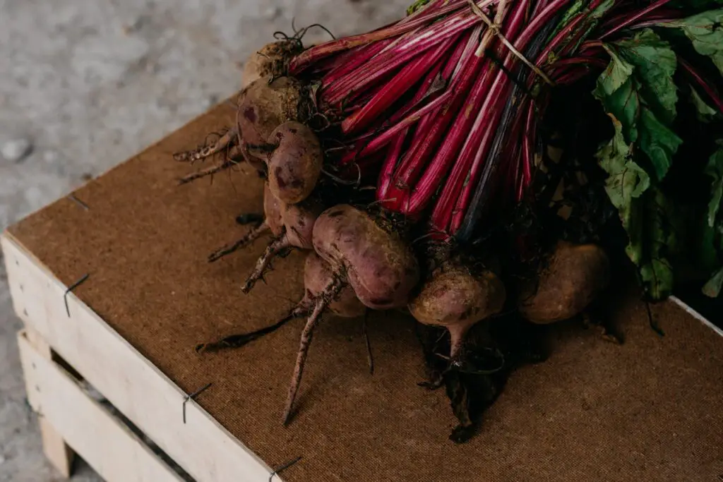 <p> Beets bring a vibrant splash of color to your plate—and a host of benefits for your heart. High in natural nitrates, beets help widen blood vessels, improving circulation and lowering blood pressure. They also provide fiber and antioxidants that help reduce LDL levels and support good cholesterol (HDL) production. Whether you enjoy them roasted, juiced, or grated into salads, beets are a flavorful way to support heart health while adding a little sweetness to your day. </p> :: Pexels