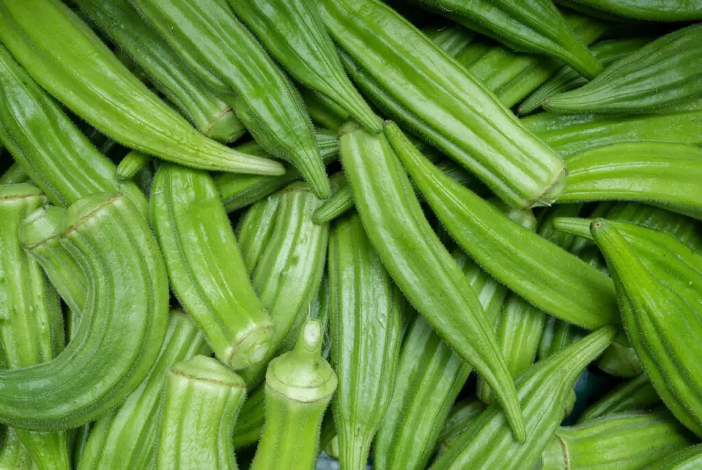 <p> Okra might be best known for its starring role in gumbo, but it deserves a solo spotlight for heart health. The vegetable’s unique mucilaginous texture comes from soluble fiber that binds cholesterol in the gut, helping lower overall cholesterol levels. Roast okra into crunchy chips for a satisfying snack, stir it into stews for thickness and flavor, or sauté with tomatoes and spices for a simple side that’s full of Southern charm and cardiovascular benefits. </p> :: Pexels