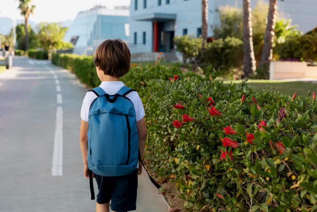 <p> By the time we were in first or second grade, most of us were making the daily trek to school on our own, rain or shine. We carried heavy bookbags, crossed busy intersections, and sometimes walked a mile or more without adult supervision. Our parents waved us off with a “See you this afternoon,” confident we’d make it there and back safely. These days, schools enforce strict drop-off and pick-up routines, and parents often drive their children or arrange carpools until they are much older. The idea of a seven-year-old navigating the walk to school alone now seems almost unthinkable. </p> :: Pexels
