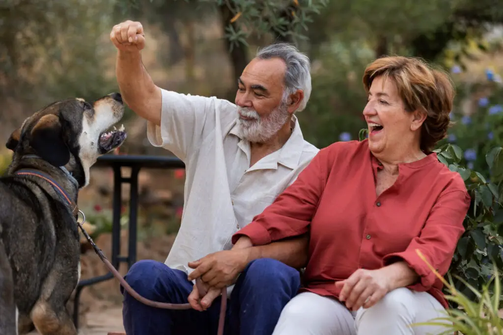 <p> For animal lovers or those with a green thumb, this is perhaps the most joyful hustle of them all. Apps like Rover or Wag connect you with pet owners looking for trustworthy sitters and dog walkers. Spending time with furry friends can be both therapeutic and profitable. Similarly, many neighbors are happy to pay for help with gardening, watering plants, or general yard care. These types of tasks keep you moving, offer companionship—whether animal or human—and create a sense of community. It is work that hardly feels like work. </p> :: Freepik