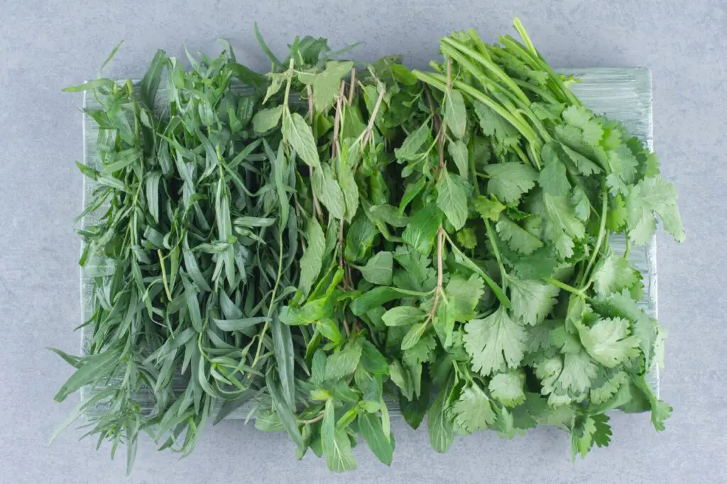 <p> Fresh herbs like basil, cilantro, and parsley are highly sensitive to freezing. Their delicate leaves become limp and lose their bright flavor once thawed. If you want to preserve herbs, try chopping them and freezing them in olive oil using ice cube trays. These little flavor cubes are perfect for tossing into soups and sautés without losing too much quality. Still, nothing beats the vibrant punch of fresh herbs, so buy small amounts and use them within a week. </p> :: Freepik