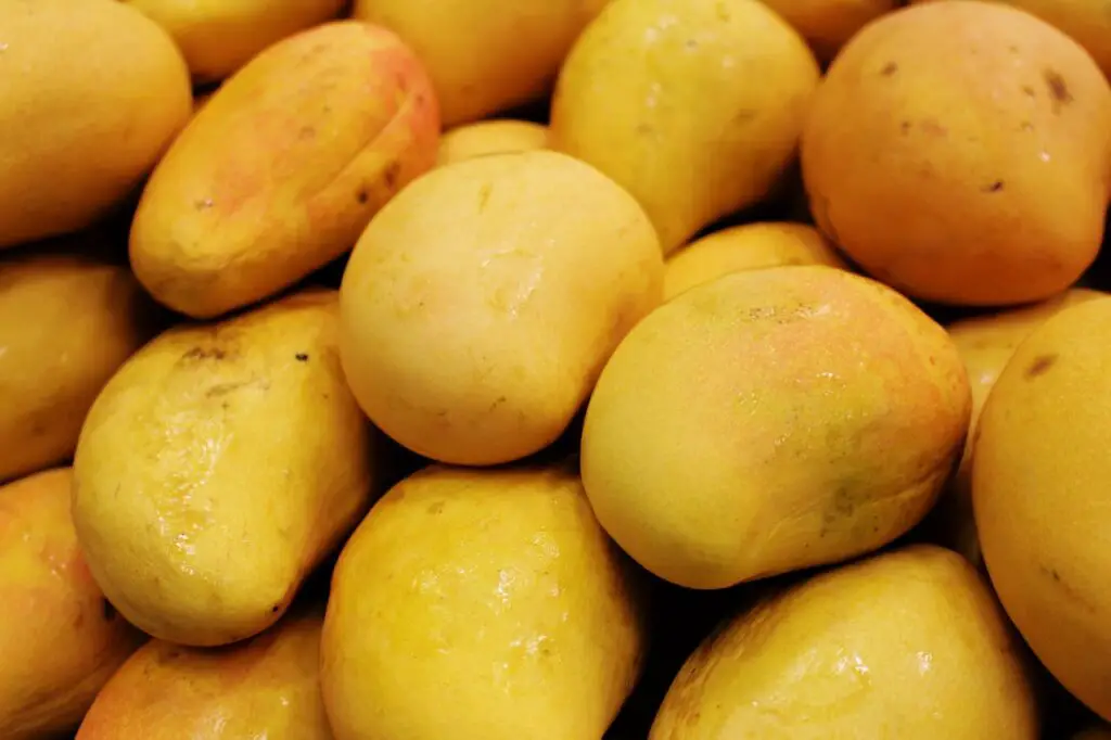 <p> Mangoes taste like pure sunshine in fruit form. Unfortunately, that sunny sweetness comes with a hefty sugar load—about 23 grams per cup. While they are rich in vitamins, they can cause a rapid rise in blood sugar if eaten in large portions. If you enjoy mangoes, cut a small slice and savor it slowly rather than tackling the whole fruit. That way, you get the flavor without overwhelming your system. </p> :: Pexels
