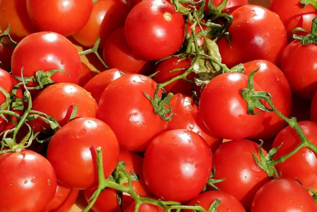<p> While tomato sauce and soups freeze beautifully, whole or sliced fresh tomatoes do not fare well in the cold. Freezing breaks their skin and leaves the flesh watery and grainy once thawed. If you have a surplus of tomatoes from your garden, cook them into a sauce, soup, or stew before freezing. That way, you preserve their flavor and usefulness without sacrificing quality. Fresh tomatoes are best enjoyed raw in salads or sandwiches, so resist the urge to stash them in the freezer. </p> :: Pexels