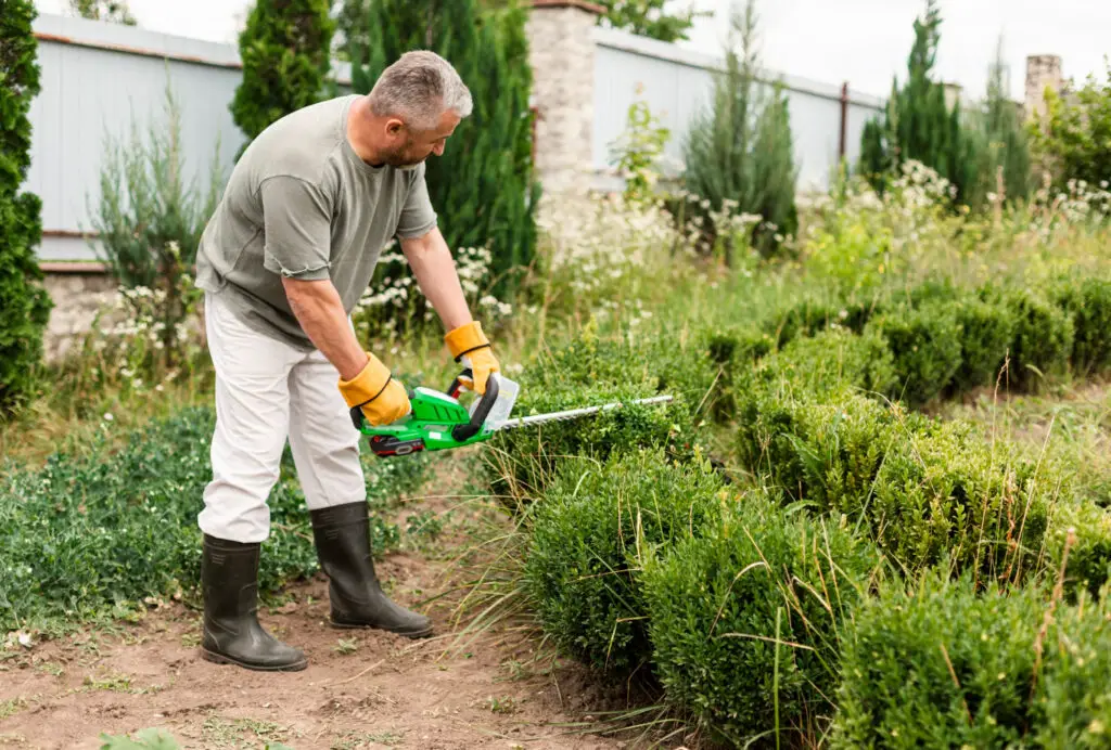 <p> Not every Boomer is out there mowing lawns in the summer heat, but many still find satisfaction in doing their own yard work. For those who are physically able, cutting the grass, planting flowers, or trimming hedges is not only cost-saving but also a source of light exercise and pride. Even if they hire help for the big tasks, many prefer to keep smaller chores in their own hands rather than paying top dollar for services they can manage on their own. </p> :: Freepik