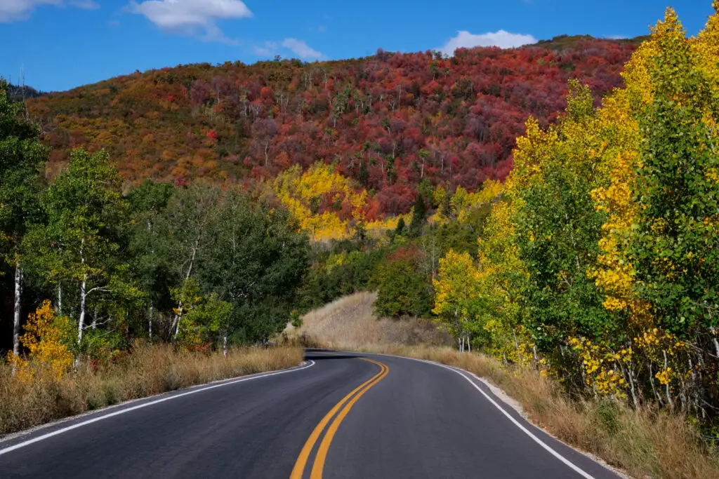 <p> If you want jaw-dropping scenery without the heavy lifting of hiking, Brockway Mountain Drive in Michigan’s Upper Peninsula is the perfect answer. The road winds up to about 1,320 feet above Lake Superior, offering sweeping views of the lake, dense forests, and even distant islands. There are several pull-off spots where you can stop for photos or take a short, gentle walk. In autumn, the colors are spectacular, but every season has its charm. It is one of those drives that remind you how vast and beautiful America really is. </p> :: Freepik