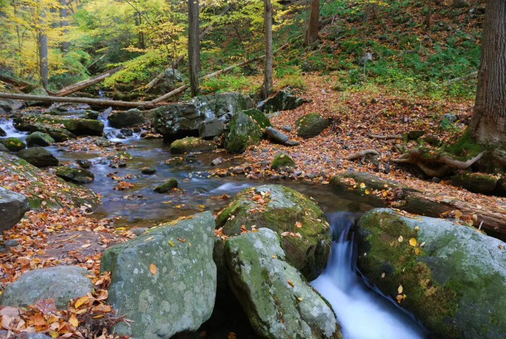 <p> For those who prefer a quieter escape, Minister Creek Trail in Pennsylvania’s Allegheny National Forest is a hidden treasure. This 6.3-mile loop is surrounded by thick forest, streams, and rocky outcroppings. The good news is that you do not have to tackle the entire loop—you can take shorter spurs that let you experience the area without committing to the full distance. It is less crowded than many national parks, which means you are more likely to enjoy solitude and the calming sounds of nature. With its mix of woodland scenery and flexible options, Minister Creek makes for a rewarding weekend getaway hike. </p> :: Freepik
