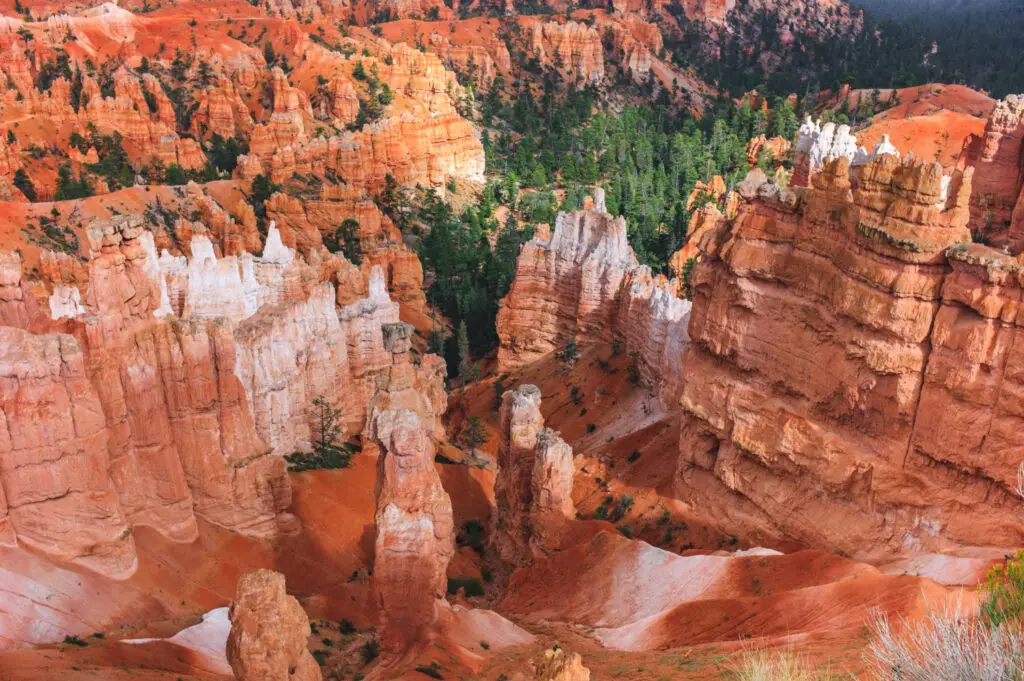 <p> Sedona has become a hiking haven for good reason. Its trails are set against dramatic red rock formations that look like something out of a painting. For boomers, the best part is that you do not need to be an expert hiker to enjoy them. Paths such as Boynton Vista or Broken Arrow offer relatively short, easy-to-moderate hikes that deliver incredible payoffs in the form of sweeping desert views and striking rock formations. Mornings and late afternoons are the best times to go, as the light makes the red rocks glow and the temperatures stay comfortable. Remember to bring plenty of water and sun protection—the desert may be beautiful, but it is also unforgiving if you show up unprepared. </p> :: Freepik
