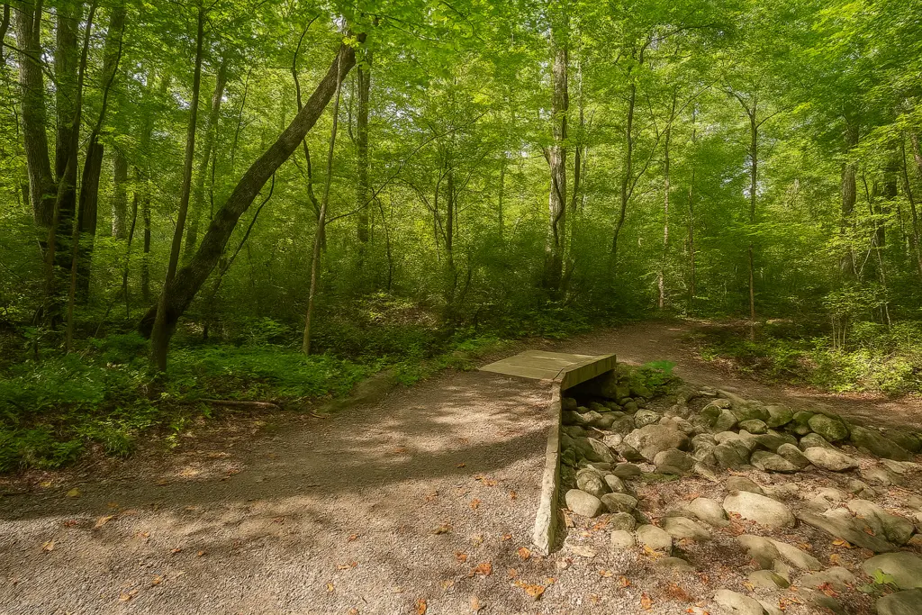 <p> For boomers who want a walk that is just a little more challenging but still completely manageable, the Fighting Creek Nature Trail is a wonderful choice. This 1.2-mile loop follows alongside a creek and meanders through forestland filled with wildflowers in spring and vibrant leaves in fall. Along the way, you will come across a historic log cabin, which adds a touch of history to your hike. The elevation change is modest, making it a good middle ground between an easy stroll and a strenuous trek. Bring a water bottle, go at your own pace, and let the sounds of nature do the rest. </p> :: DALL-E