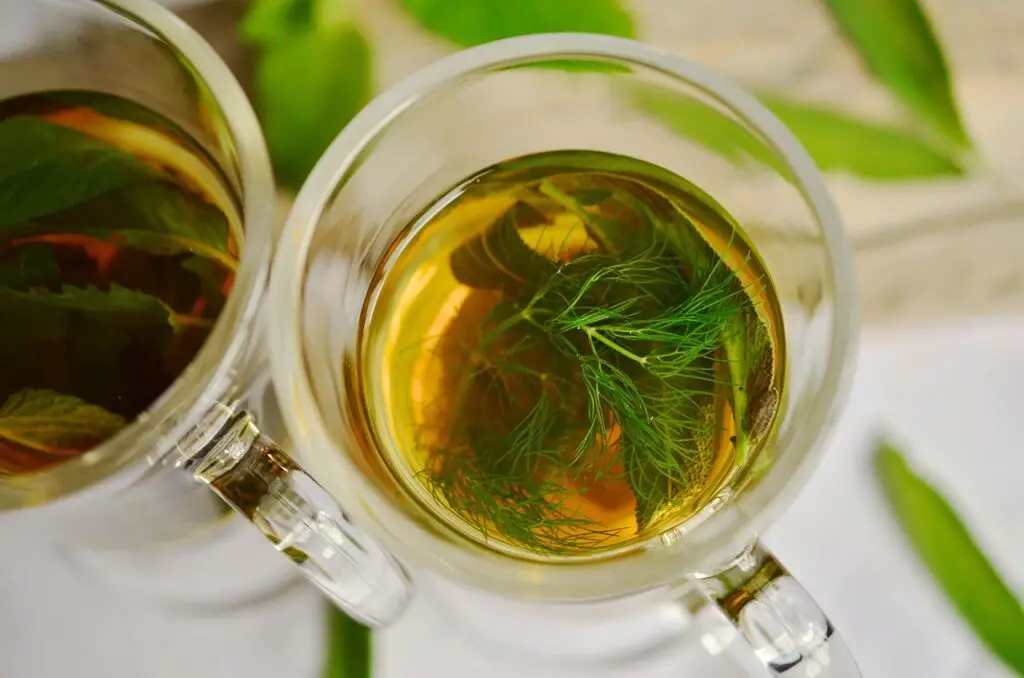 <p> Move over, sugary sodas—tea is taking the spotlight. Doctors recommend green tea, oolong, or herbal blends for their antioxidant and calming properties. Tea can support digestion, brain health, and hydration. In 2025, functional beverages infused with herbs and natural ingredients are becoming more common, giving you tasty options without the sugar overload. For boomers, this can mean swapping that afternoon soda for a soothing cup of chamomile or a refreshing glass of iced green tea. It is a small change that can have big health payoffs, especially for heart and brain health. </p> :: Pixabay