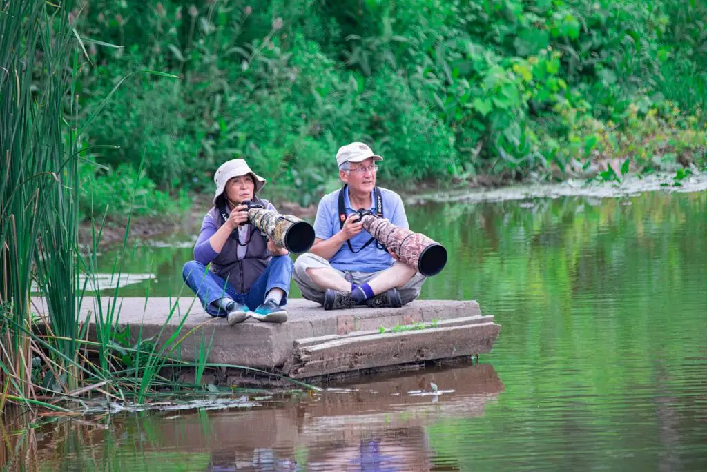 <p> If you enjoy being outdoors but prefer something calm and reflective, birdwatching might be the perfect fit. With a pair of binoculars and a field guide, you can spend peaceful hours observing wildlife right in your backyard or at a local park. Birdwatching sharpens observation skills and brings a sense of mindfulness as you tune in to the natural world. Many boomers pair this hobby with photography, capturing beautiful images of birds and landscapes. It is a quiet yet deeply rewarding way to connect with nature. </p> :: Pexels