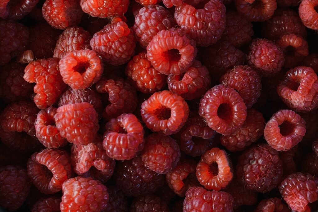 <p> If you want a gut-friendly food that actually feels fun to eat, raspberries are your answer. They are sweet, refreshing, easy to grab, and surprisingly loaded with fiber. Mayo Clinic’s high-fiber chart lists 1 cup of raspberries at about 8 grams of fiber, which is impressive for a fruit that tastes more like a treat than a health strategy. That makes them a smart option for anyone who wants to support digestion without feeling like they are “trying to be healthy” every second of the day. Raspberries can help add fiber and water to your diet at the same time, which is a helpful combo when your goal is staying regular and avoiding that heavy, backed-up feeling. They are also incredibly flexible. Add them to oatmeal, mix them into yogurt, freeze them for a cold snack, or eat them straight from the container while standing in the kitchen deciding what your life is about. No judgment. They pair especially well with other foods on this list too. A bowl of oats with chia and raspberries is one of the easiest gut-friendly breakfasts you can make without spending half your morning cooking. If your snack routine currently involves crackers, chips, or protein bars that taste like drywall, raspberries are a simple upgrade your digestive system will appreciate. </p> :: Pexels