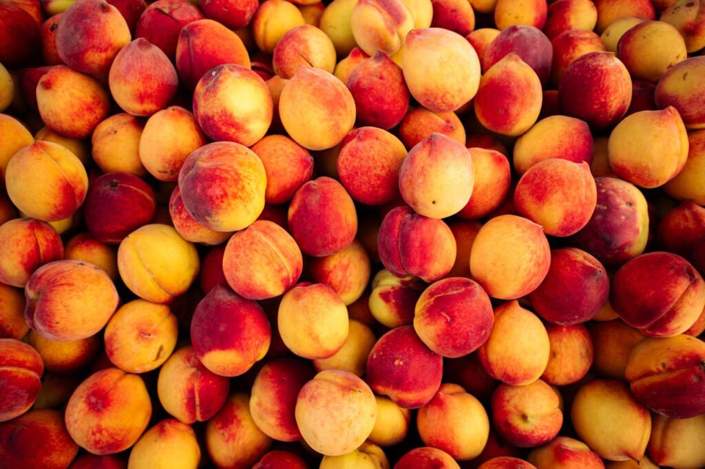 <p> Apricots are often overlooked, but they are a surprisingly good source of soluble fiber, with two fresh apricots providing about 0.7 grams. Dried apricots contain even more fiber per serving. They are sweet, juicy, and full of vitamins and minerals. Apricots make a great snack, salad addition, or dessert component that supports fullness and heart health while adding natural sweetness to your day. </p> :: Pexels