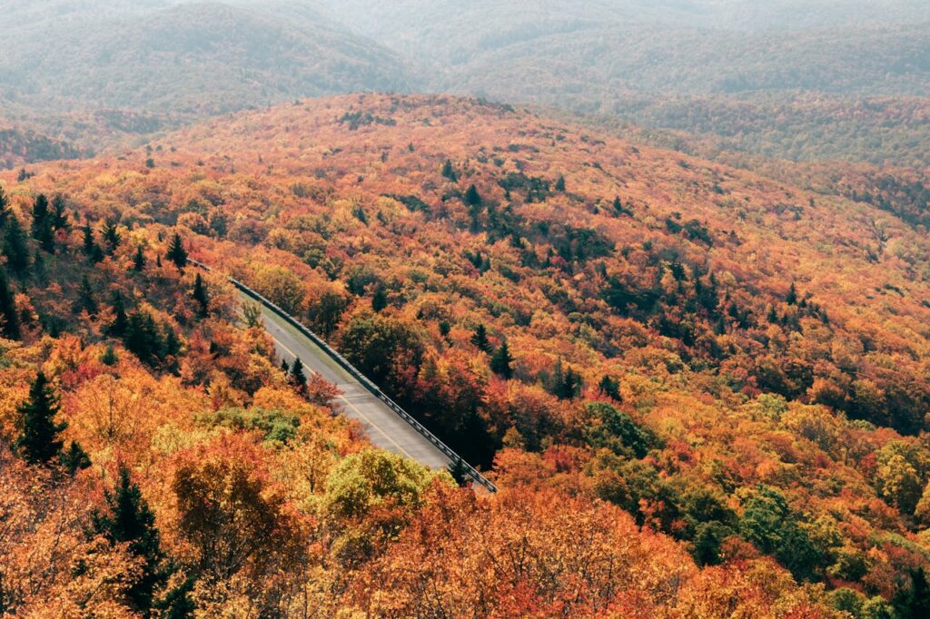 <p> If your idea of a perfect road trip involves peace, quiet, and endless natural beauty, then the Blue Ridge Parkway is hard to beat. This scenic route winds through the Appalachian Mountains, connecting Shenandoah National Park to Great Smoky Mountains National Park. The drive itself is smooth and unhurried, with plenty of overlooks where you can stop and take in the view. In the fall, the foliage turns the entire landscape into a sea of color, but honestly, any season works. It is the kind of place where you roll the windows down, turn off your notifications, and just enjoy being present. </p> :: Pexels
