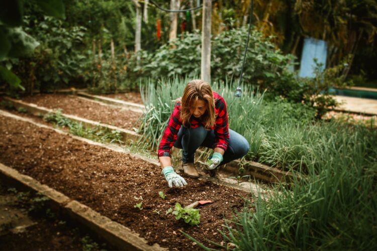 Gardening Trends Boomers Are Leading in 2026: 10 Smart Ways Yards Are Changing
