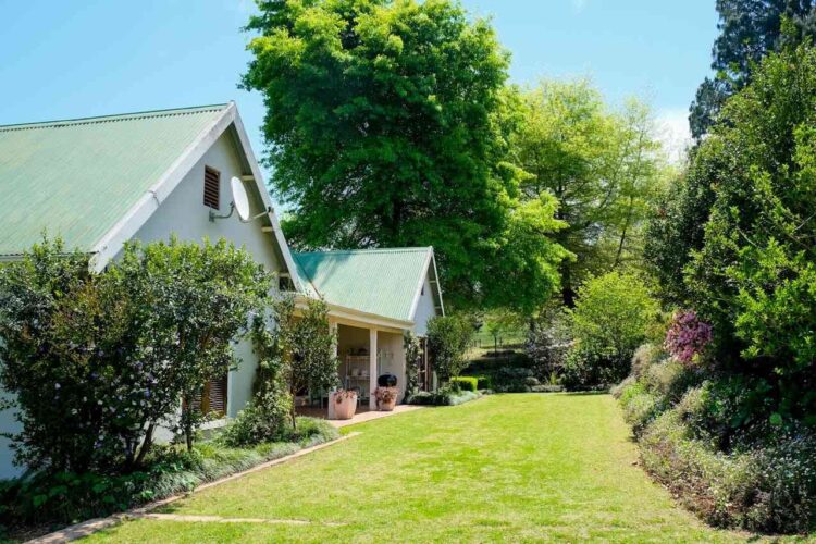 Lawn Care Habits You Should Never Skip: 7 Secrets Behind Beautiful Yards