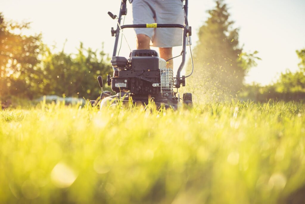 <p> A lot of people treat mowing like a quick cleanup task. If the grass looks long, they cut it. If it looks fine, they leave it alone. Simple, right? Not quite.

The height of your grass plays a much bigger role than most people realize. Cutting it too short might make your lawn look neat for a day or two, but it actually weakens the grass over time. Short grass struggles to develop strong roots, which makes it more vulnerable to heat, drought, and weeds.

People with great lawns pay attention to how much they are cutting, not just when they are cutting. A good rule to follow is the one-third rule. Never remove more than one-third of the grass blade in a single mow. This helps keep the grass healthy and reduces stress.

Most lawns in the United States do well when grass is kept between 2.5 to 4 inches tall, depending on the grass type. Taller grass shades the soil, helps retain moisture, and naturally crowds out weeds.

It might feel like you are leaving your lawn a little longer than usual, but give it time. That slightly taller cut is often what creates that full, lush look people admire. </p> :: Pexels