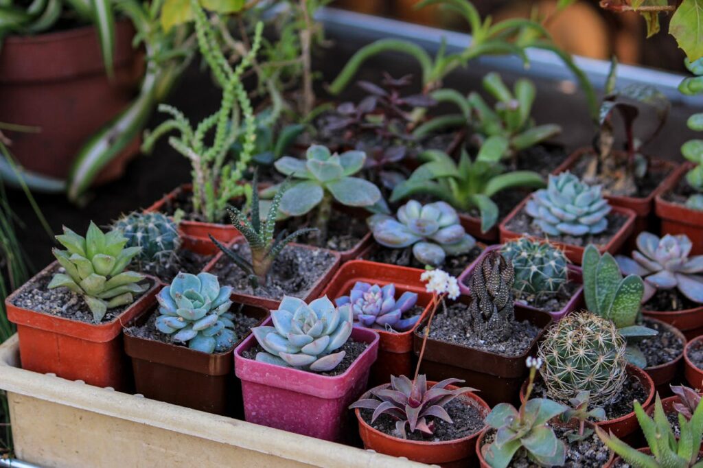 <p> Not everyone has hours to spend pruning, watering, and troubleshooting plant problems. Boomers are embracing plants that are easier to care for and more forgiving. This includes drought-tolerant varieties, hardy perennials, and shrubs that do not demand constant attention. The idea is simple. Choose plants that match your lifestyle, not the other way around. This shift takes the pressure off and makes gardening feel less like a chore. You still get a beautiful yard, but without the constant upkeep that used to come with it. It is a more realistic way to garden, especially for people balancing multiple responsibilities. </p> :: Pexels