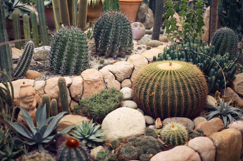 <p> Water conservation is becoming more important, and Boomers are adapting their gardening practices to reflect that. They are using methods like drip irrigation, rain barrels, and strategic plant placement to reduce water use. Choosing native plants is also part of this approach, since they are naturally suited to the local climate and require less watering. This trend is not just about saving money on water bills. It is about being mindful of resources and making choices that are sustainable in the long run. </p> :: Pexels