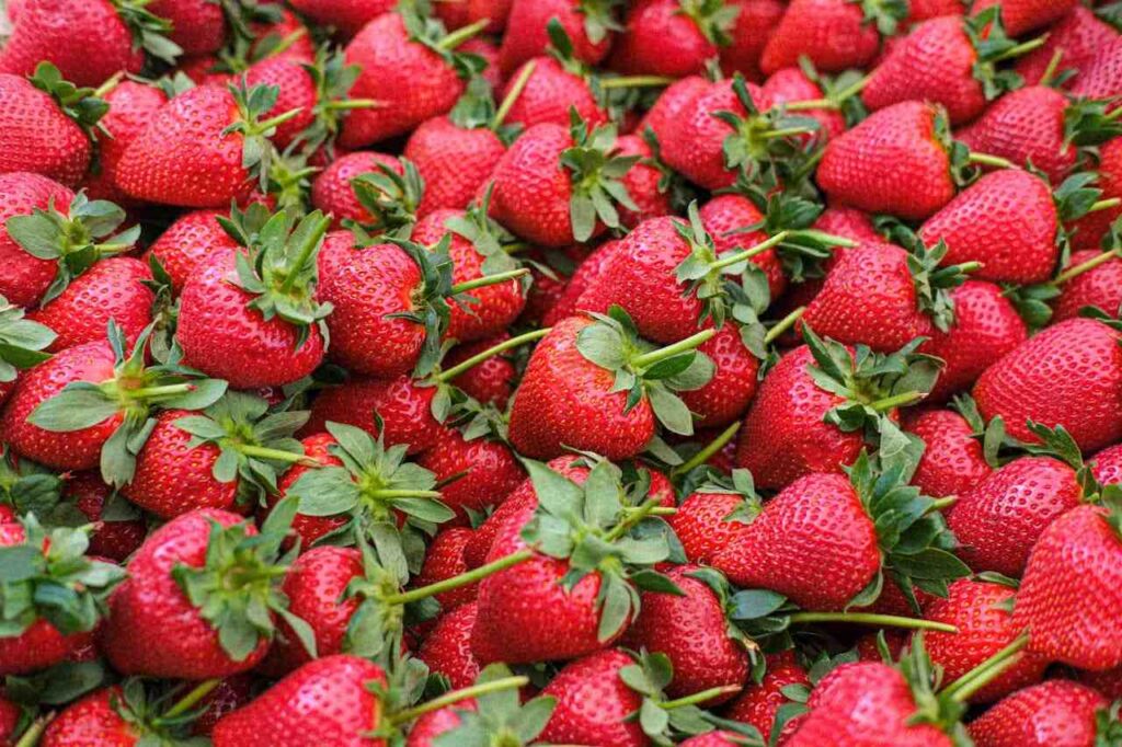 <p> Strawberries are a beloved classic, and for good reason. One cup of fresh strawberries contains about 1.8 grams of soluble fiber. They are low in calories, sweet, and packed with vitamin C and antioxidants. Strawberries are easy to enjoy on their own, chopped into salads, or blended into smoothies for a fiber-rich, heart-healthy treat. Their bright color and natural sweetness make healthy eating feel like a treat rather than a chore. </p> :: Pexels